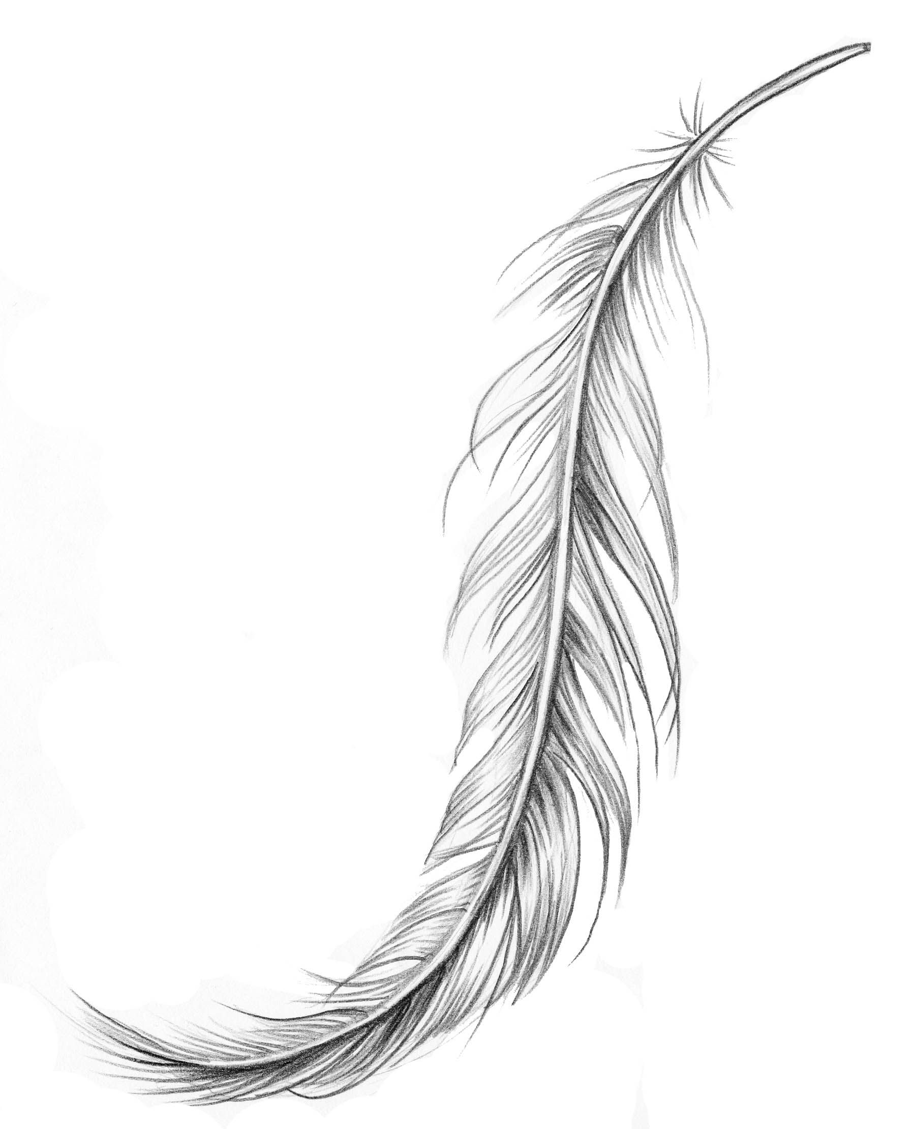 Simple Feather Tattoo Outline Watercolor Tattoo Design Simple Feather Tattoo Outline Watercolor Tattoo Design