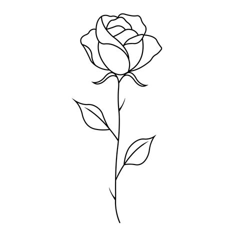 Simple Rose Outline