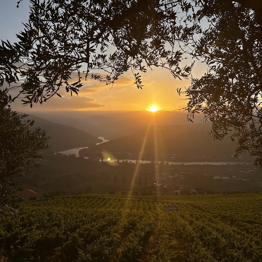 Skyline Math Jon Freedman: Innovative Graph-Driven Visualization