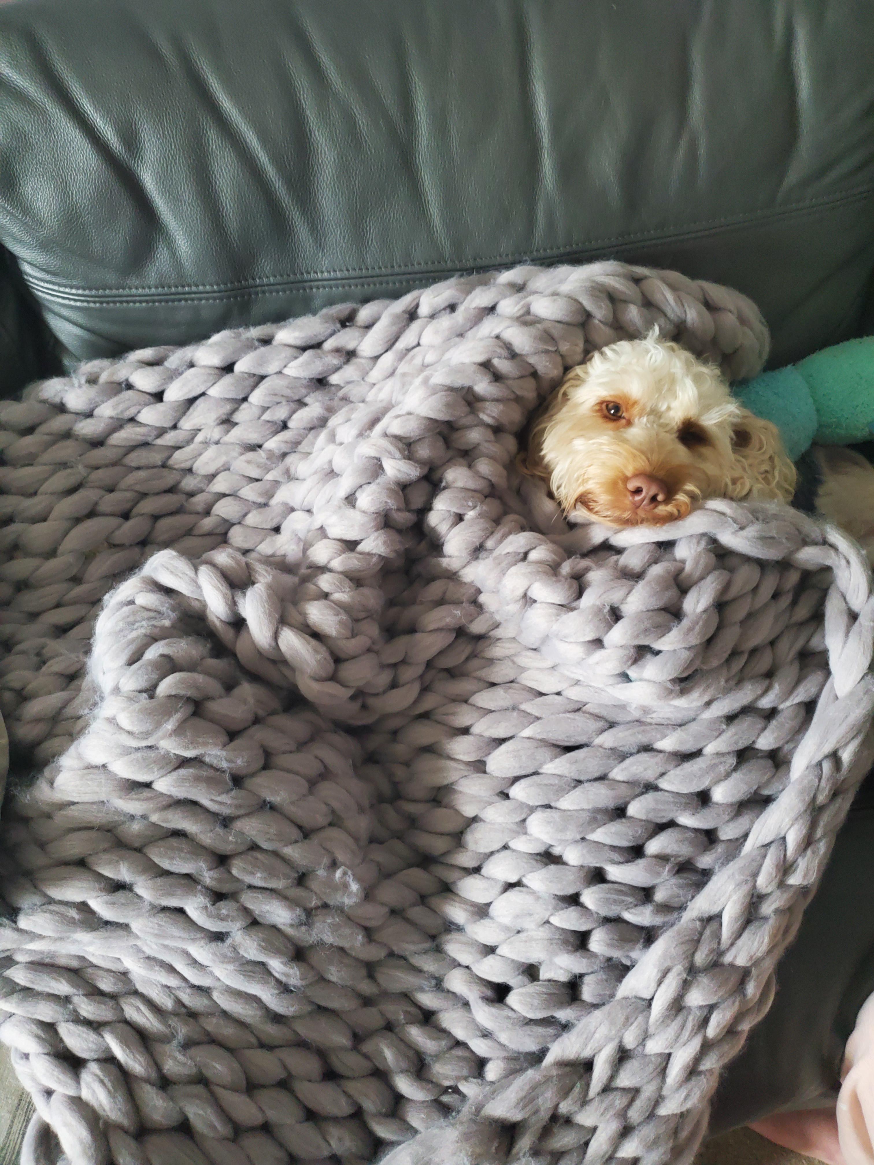 Someones Cosy Place Boston: The Definitive Guide To Cosy Spots