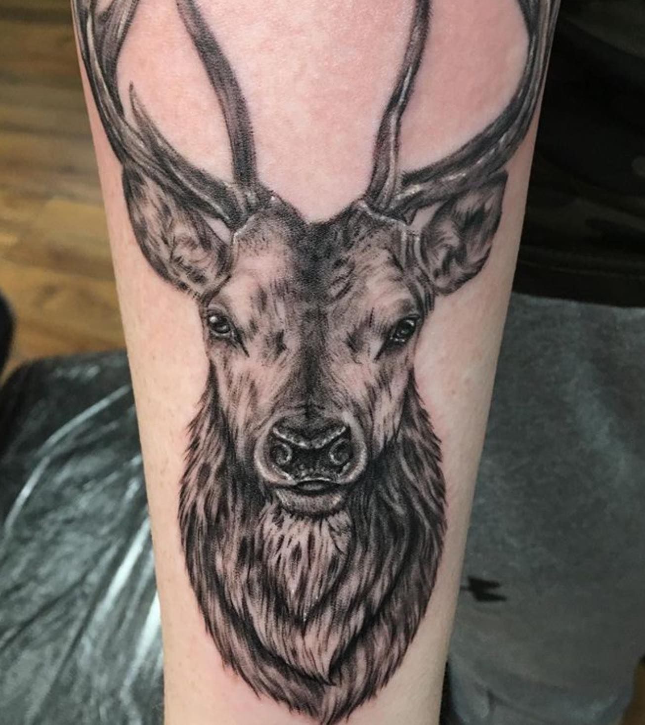 Stag Outline Tattoos
