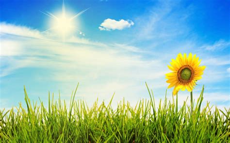 Sunny Day Wallpapers Top Free Sunny Day Backgrounds Wallpaperaccess Sunny Day Wallpapers Top Free Sunny Day Backgrounds Wallpaperaccess