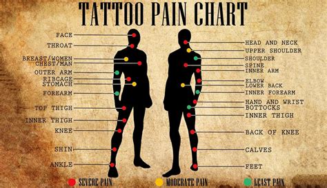 Tattoo Pain Chart For Male Female Unique Body Parts With Indicators Tattoo Pain Chart For Male Female Unique Body Parts With Indicators