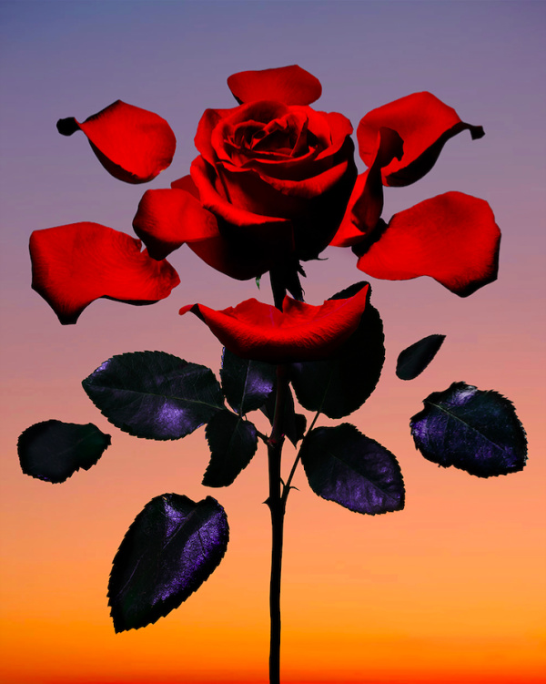 Tattoos Image Inspiration On Designspiration