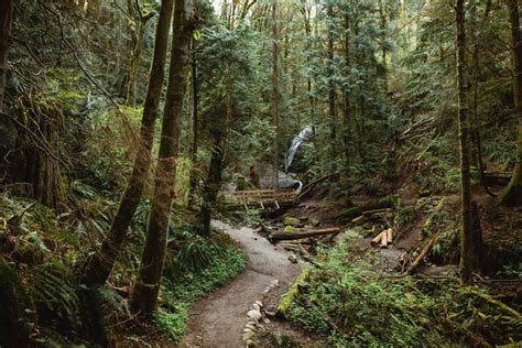 The 21 Most Haunted Hikes In The Pacific Northwest The Mandagies