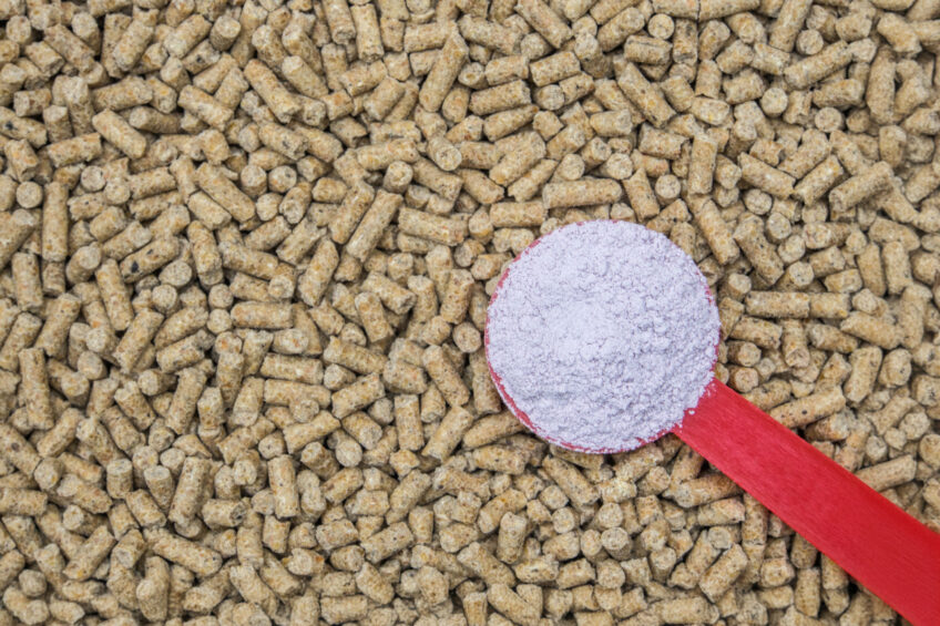 The Best Foods To Improve Your Gut Health And Feed Your Microbiome The Washington Post