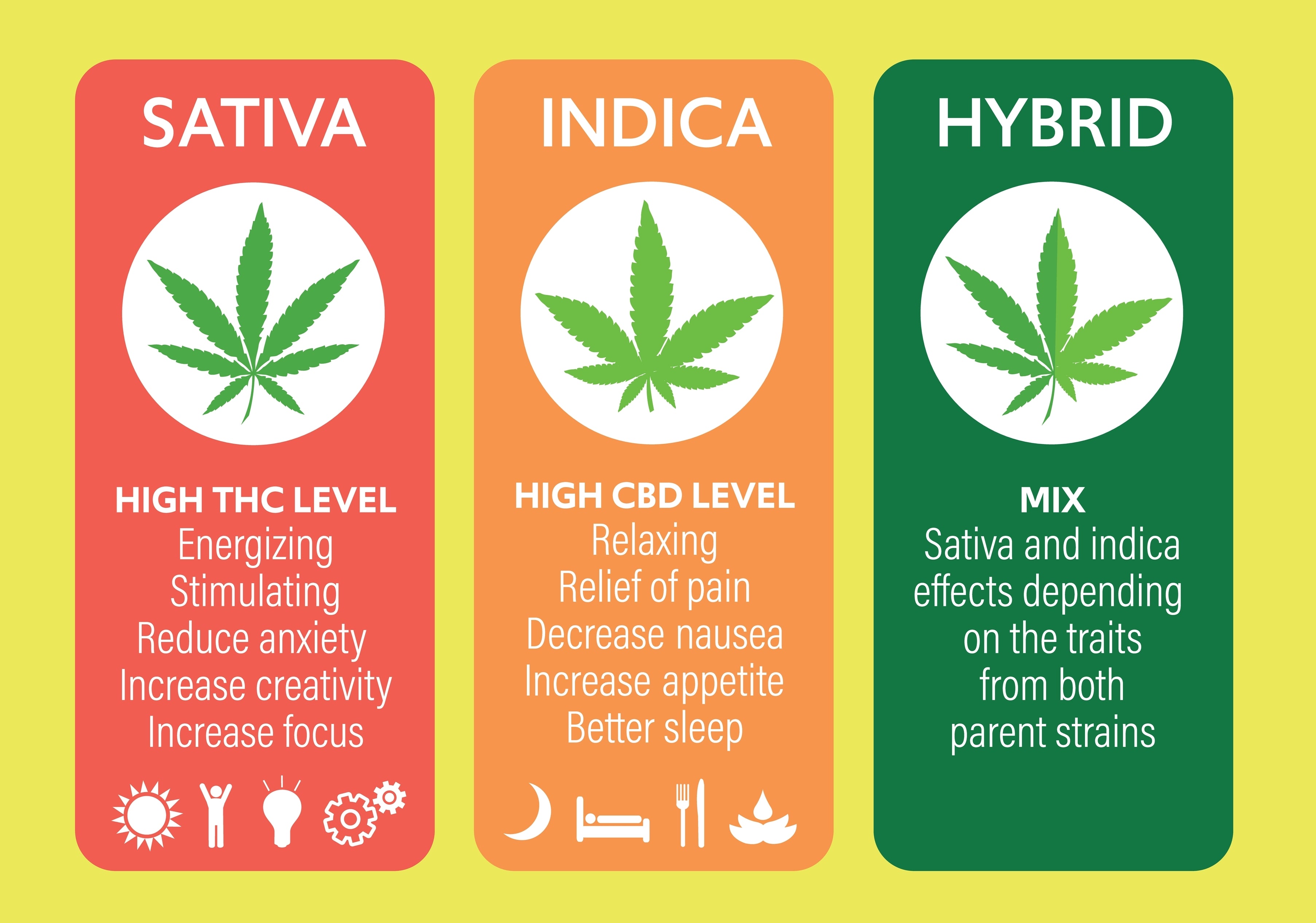 The Difference Between Sativa Vs Indica Edible Effects Does It Matter The Difference Between Sativa Vs Indica Edible Effects Does It Matter