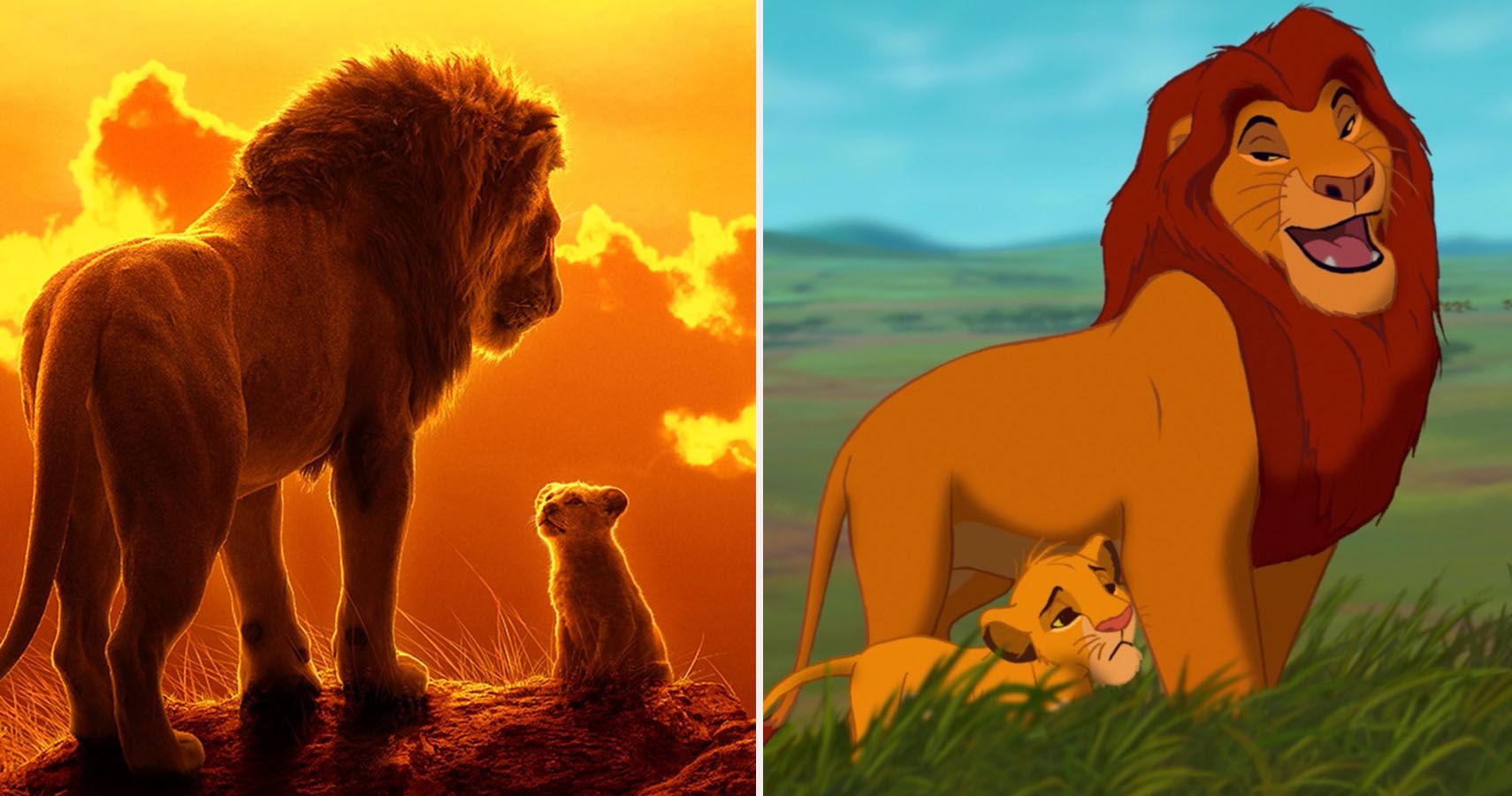 The Lion King 10 Things You Didn T Know About Nala The Lion King 10 Things You Didn T Know About Nala