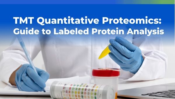 Why Is Tmt Labeled On Nterminal Important For Proteomics?