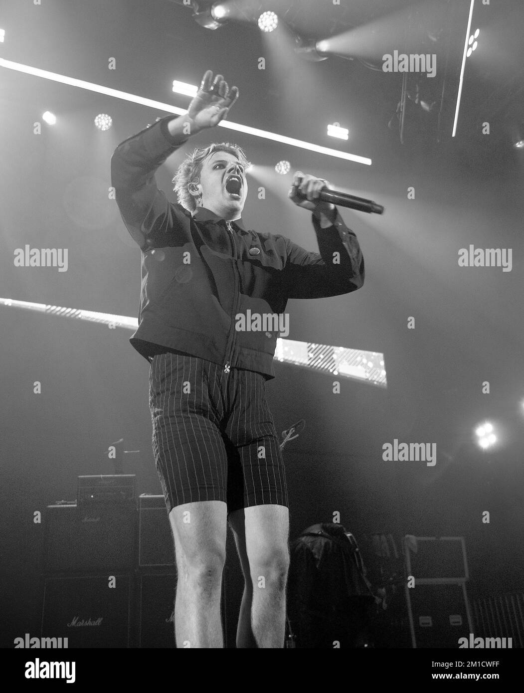 Top View Tree Trunk Black And White Stock Photos Amp Images Alamy Top View Tree Trunk Black And White Stock Photos Amp Images Alamy