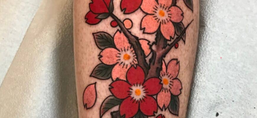 Traditional Cherry Blossom Tattoo Forearm Tattoo Ideas Traditional Cherry Blossom Tattoo Forearm Tattoo Ideas
