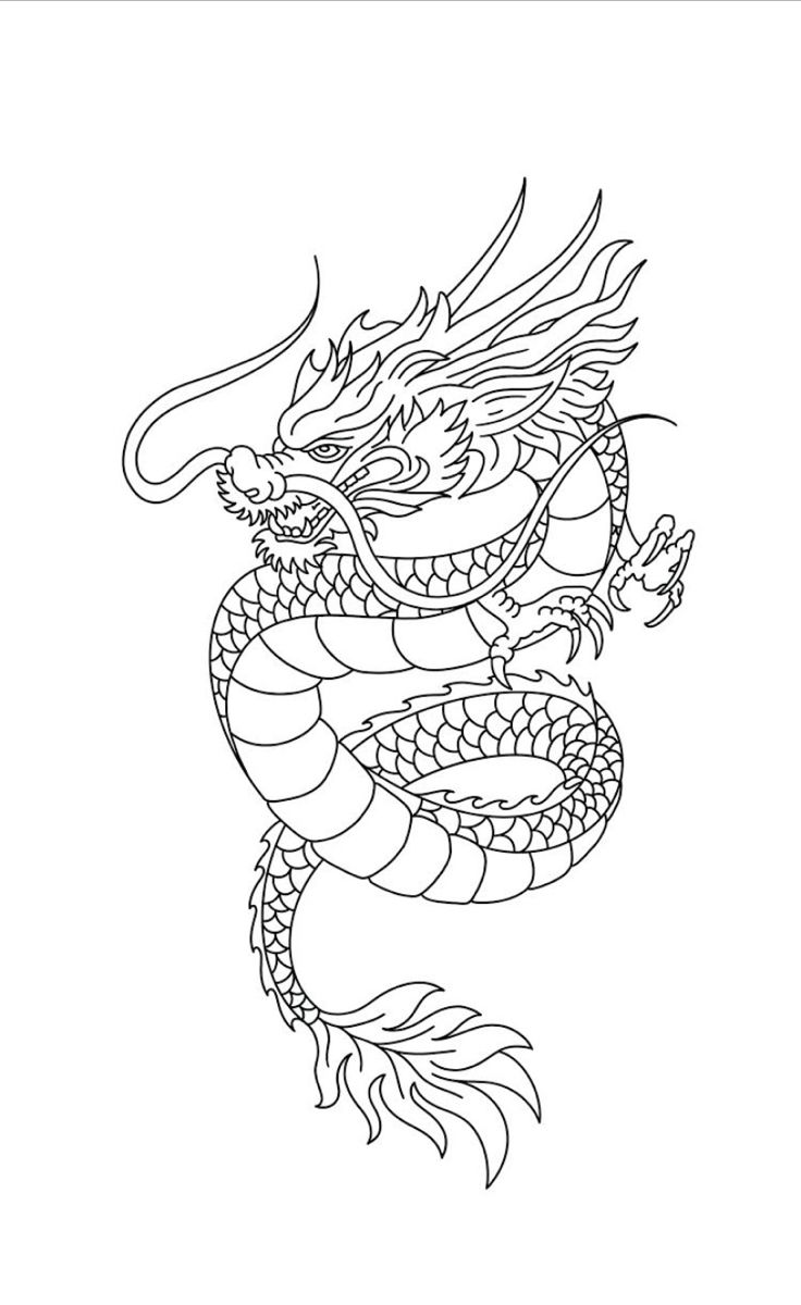 Traditional Dragon Tattoo Neo Traditional Dragon Tattoo See More