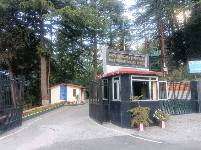 From Lab To Life: A Day At A Veterinary Research Institute