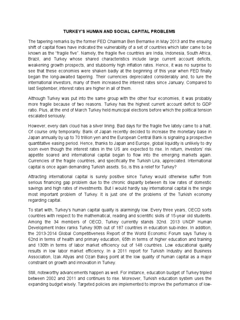 What Is Turkeys Human Capital Busting The Myth Of A Fixed Talent Pool