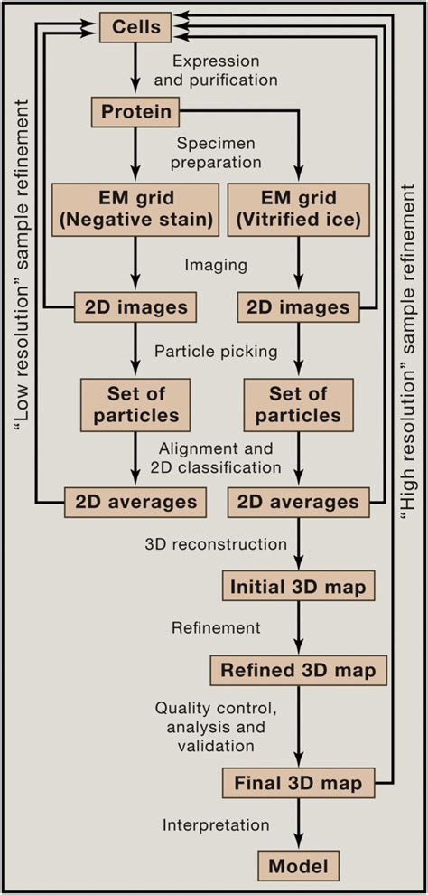Warning: Common Mistake With Yale Cryo Em Core - How To Avoid It