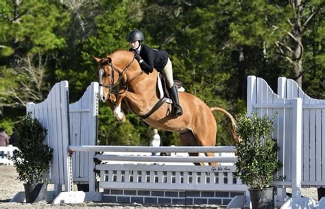 How To Celebrate Yearly Southern Traditions At Home